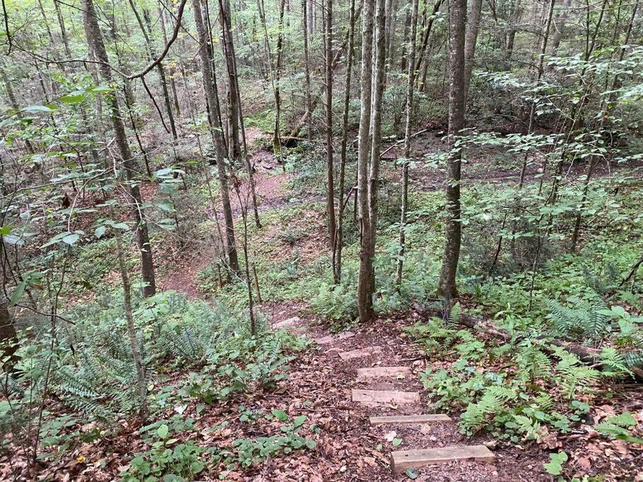 Good Life Cabin 2 Bryson City Εξωτερικό φωτογραφία