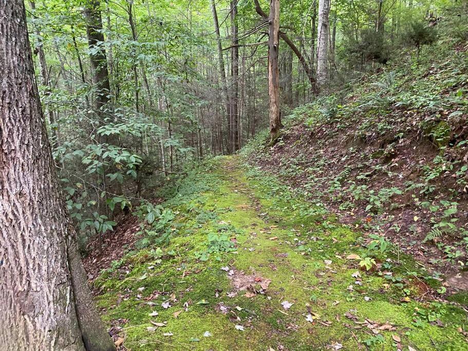 Good Life Cabin 2 Bryson City Εξωτερικό φωτογραφία